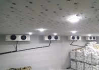 Ruang Penyimpanan Pendinginan Panel 100mm yang Disesuaikan 42KG / M3 Density Cold Room Untuk Penyimpanan Daging