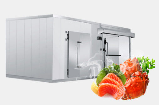 42KG / M3 Seafood Cold And Freezer Rooms 1.0mm 1.5mm Steel Fruit Cold Storage Room