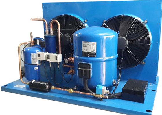 France Maneurop Hermetic Air-Cooled Refrigeration Unit, Unit Kondensasi Berpendingin Udara Disesuaikan Digunakan Untuk Penyimpanan Coldroom