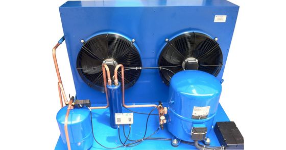 France Maneurop Hermetic Air-Cooled Refrigeration Unit, Unit Kondensasi Berpendingin Udara Disesuaikan Digunakan Untuk Penyimpanan Coldroom