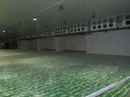Ruang Dingin dipesan lebih dahulu 100mm Panel Ruang Penyimpanan Dingin Sayuran