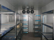 Sudut Kanan SS304 Berjalan Di Ruang Freezer Industri Panel Coldroom 200mm