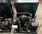 Unit Pendingin Ruang Freezer HFC R404a ZSI09KQE 3HP Suhu Rendah -23℃